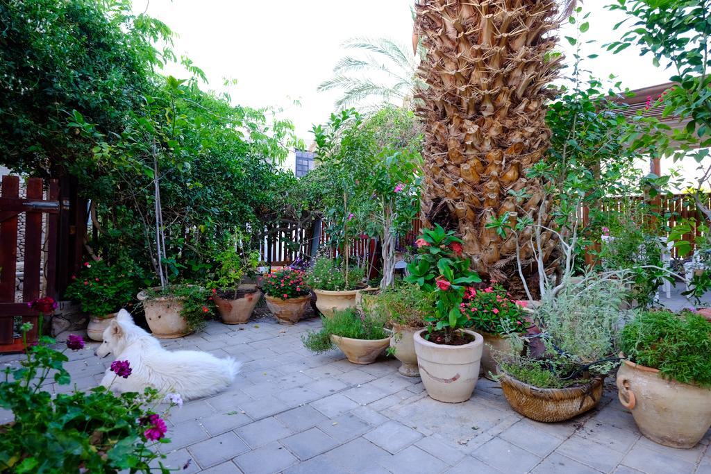 Gil'S Guest Rooms Neve Zohar Exterior photo